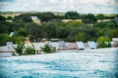 close up view of a swimming pool at a Fredericksburg resort