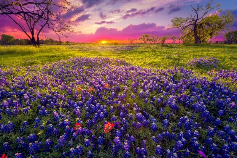 sunrise in the Texas Hill Country near Fredericksburg TX