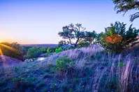 willow city loop landscape