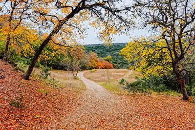 fall trail