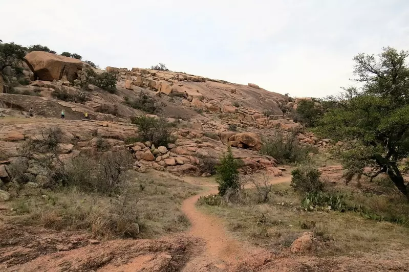 texas nature in hill country