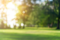 blurred park on sunny day