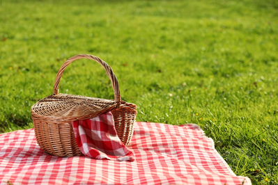 picnic basket at park