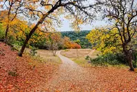 hiking path in fall texas hill country