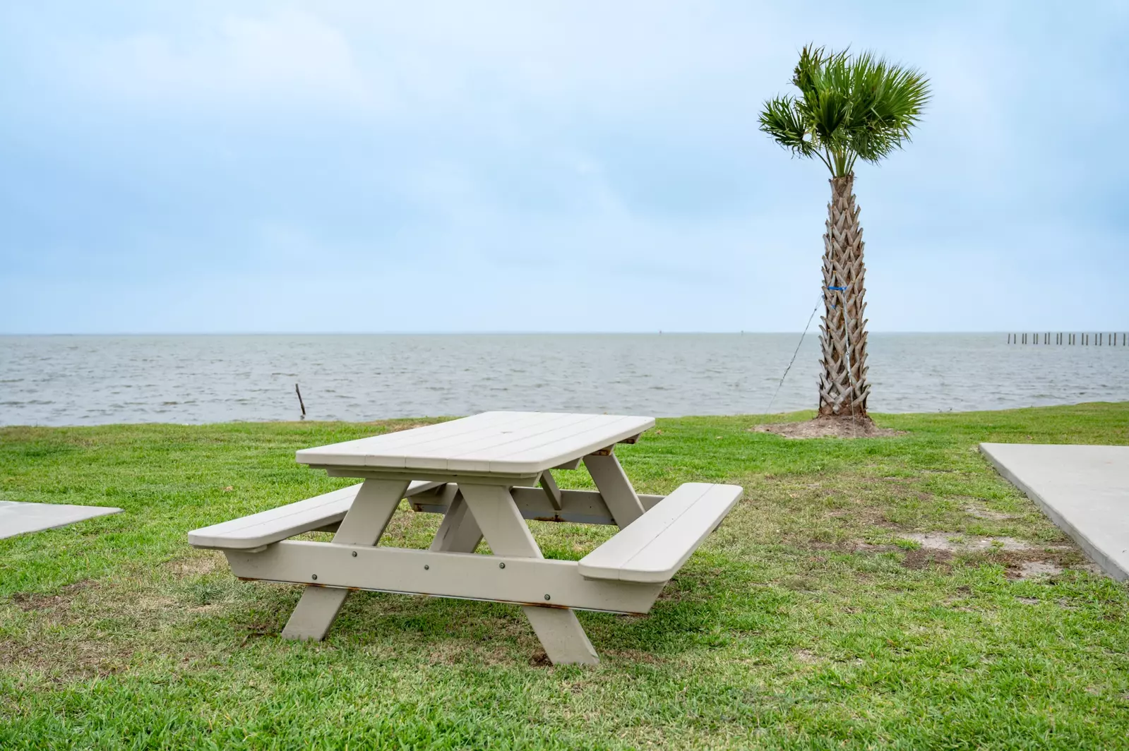 Executive Laguna Madre - 43